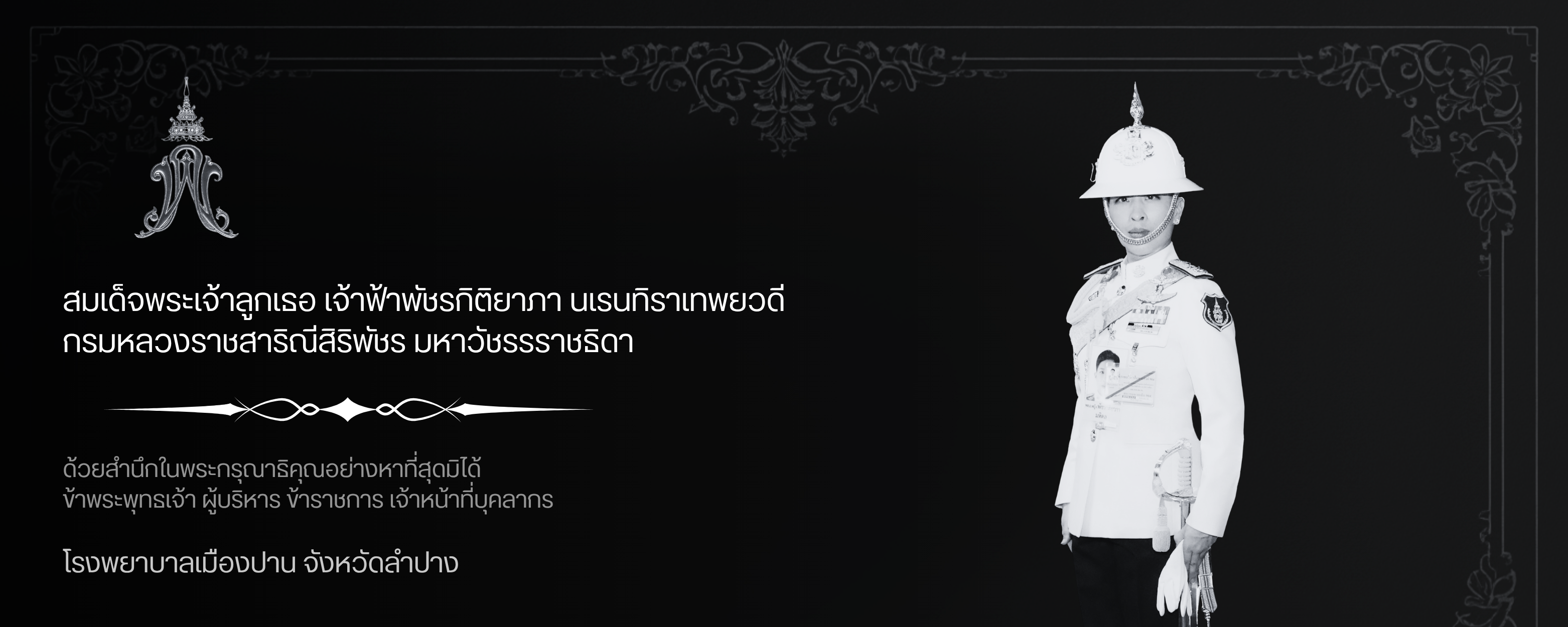 images/imagesslide/ข้อความในย่อหน้าของคุณ (3125 x 1250 px) (1).png